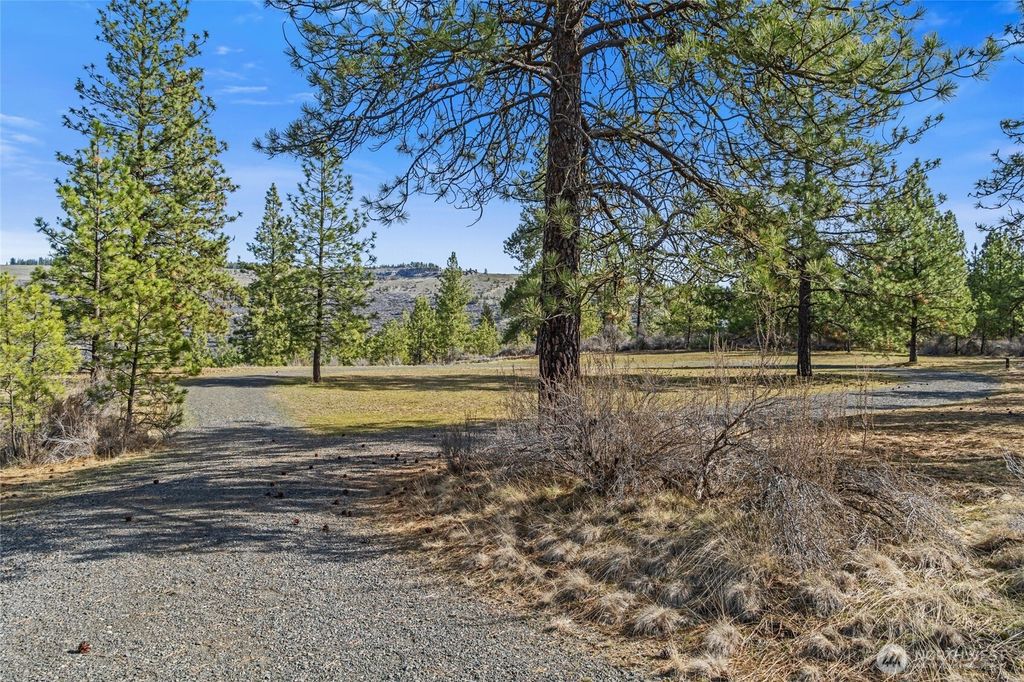 Photo of 38800 E Sand Flats Dr, Davenport, WA 99122 (MLS # 2500898)
