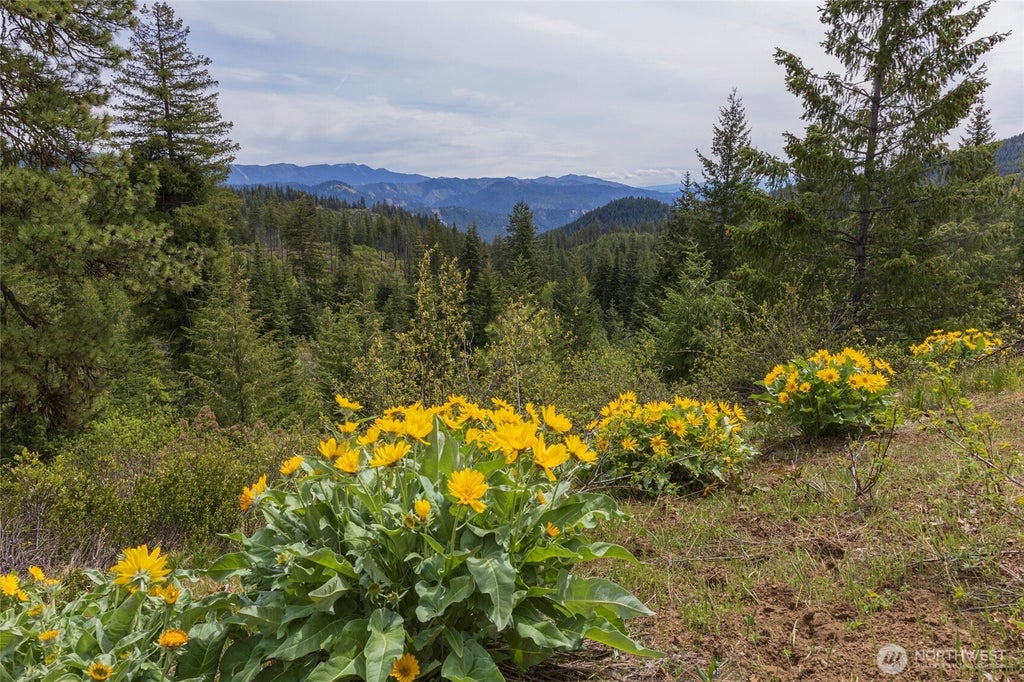 Photo of 0 Forest Service 6601-550 Rd #B, Leavenworth, WA 98826 (MLS # 2578919)