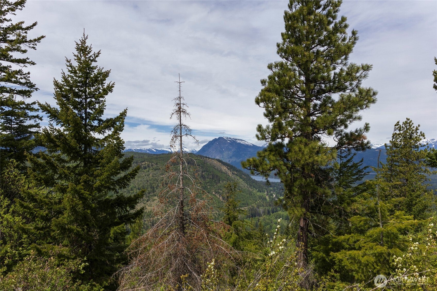 0 Forest Service 6601-550 Rd B
