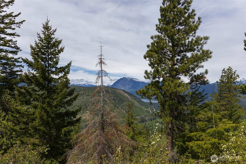 Photo of 0 Forest Service 6601-550 Rd #B, Leavenworth, WA 98826 (MLS # 2578919)