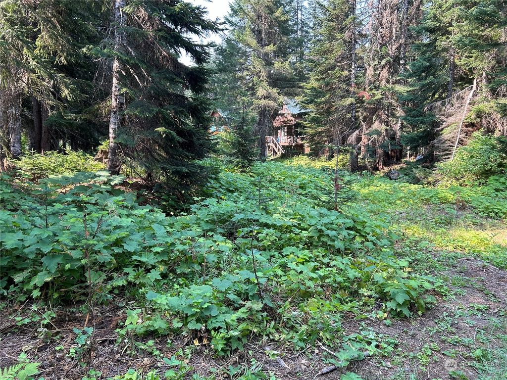 Photo of 18 Alaska Mountain Way, Snoqualmie Pass, WA 98068 (MLS # 2277111)