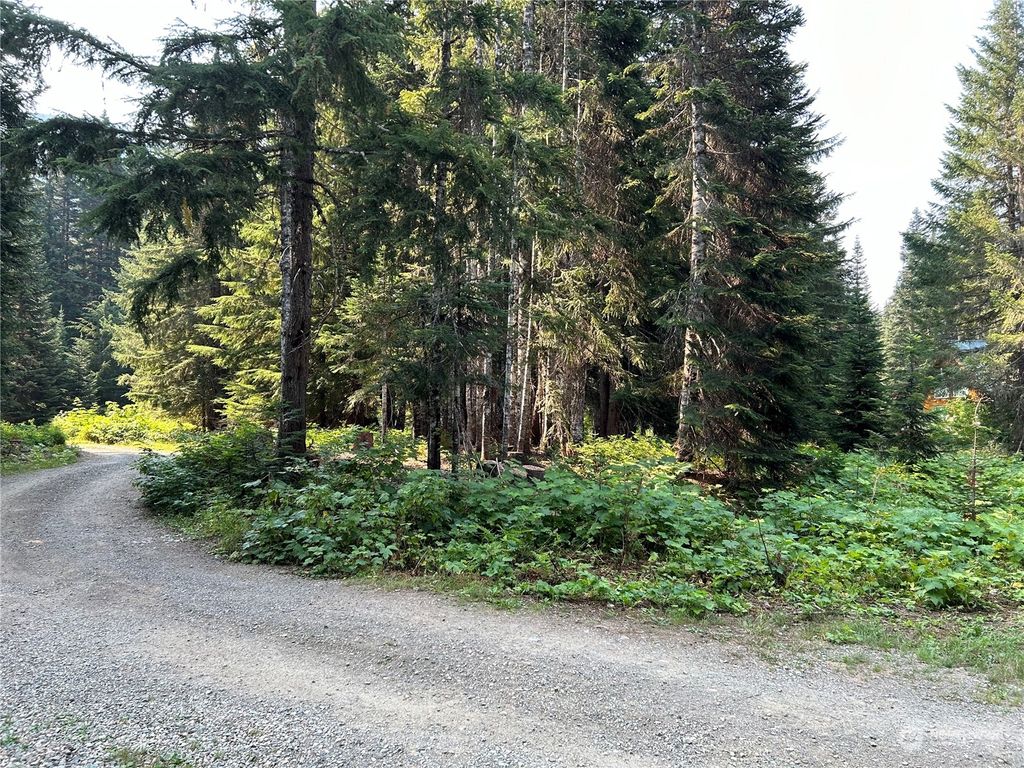 Photo of 18 Alaska Mountain Way, Snoqualmie Pass, WA 98068 (MLS # 2277111)