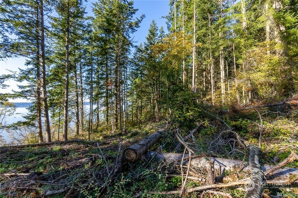 Photo of 14420 94th Avenue NW, Stanwood, WA 98292 (MLS # 2140620)