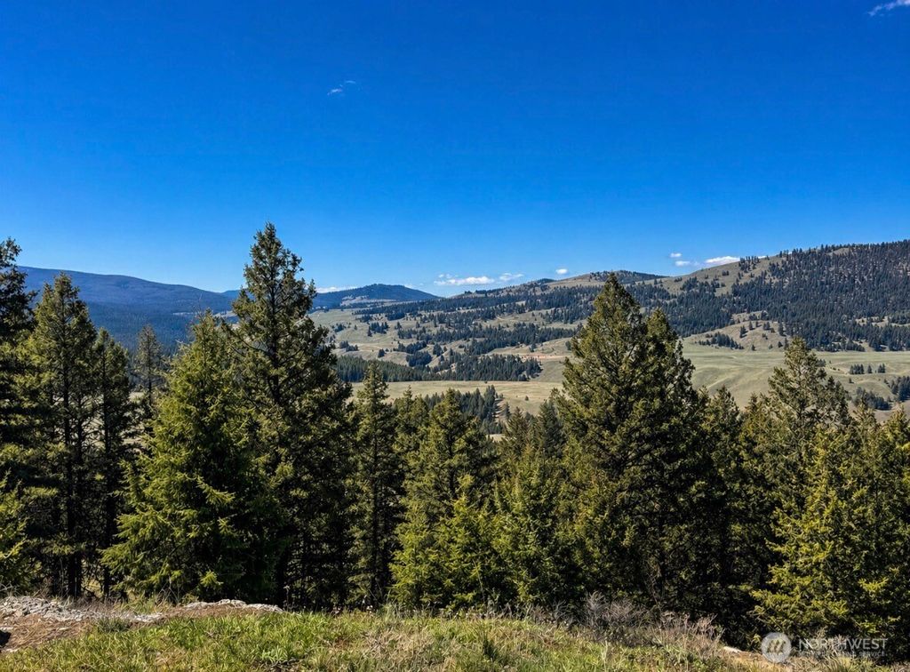 Photo of 27 Mule Deer Ridge Road #0, Oroville, WA 98844 (MLS # 2513407)