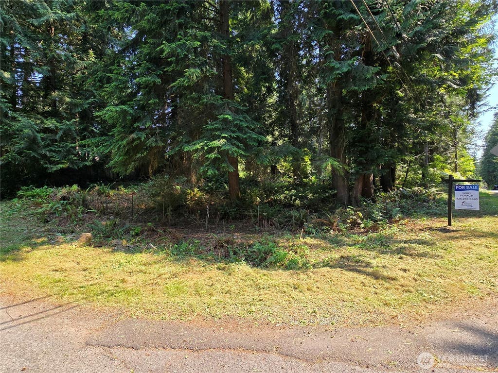 Photo of 27703 NE 35th Street NE, Redmond, WA 98053 (MLS # 2539942)