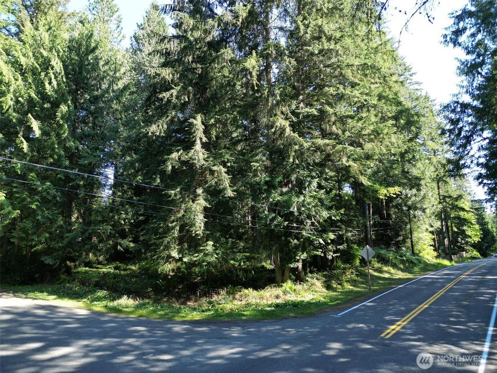 Photo of 27703 NE 35th Street NE, Redmond, WA 98053 (MLS # 2539942)