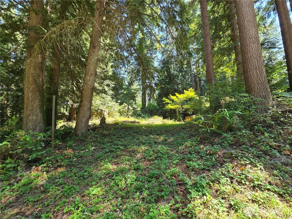 Photo of 27703 NE 35th Street NE, Redmond, WA 98053 (MLS # 2539942)