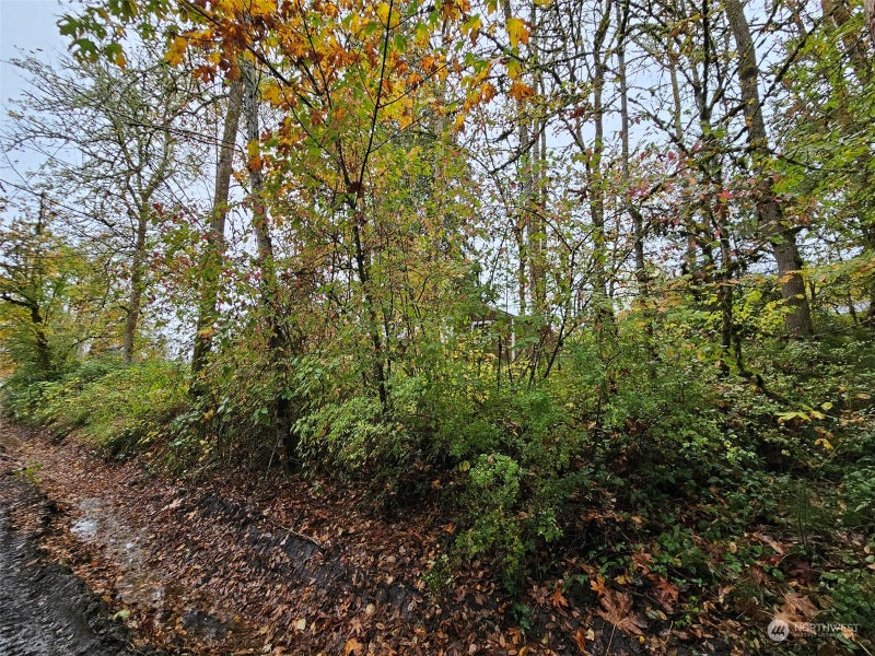 1281 State Route 505