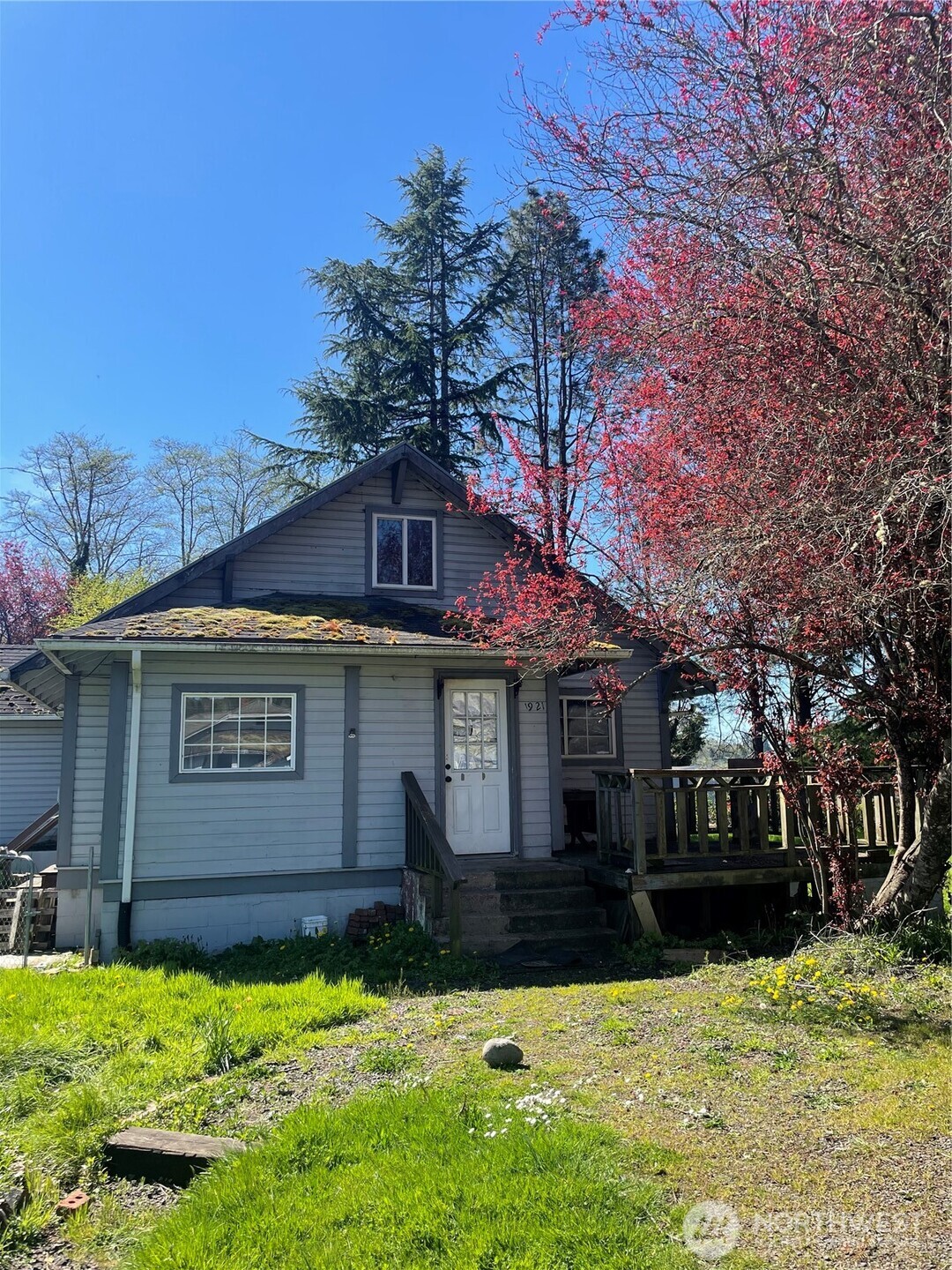 Listing image 6