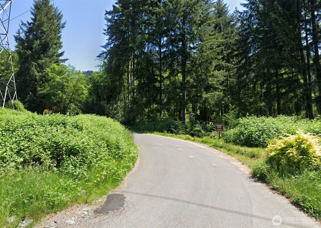 Photo of 24230 SE 106th Place, Issaquah, WA 98027 (MLS # 2486905)