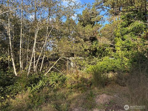 0 WA-105 Grayland WA 98541