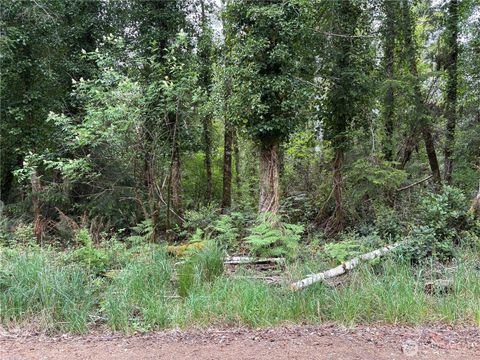Photo of 285 XX Z Street, Ocean Park, WA 98640 (MLS # 2519239)