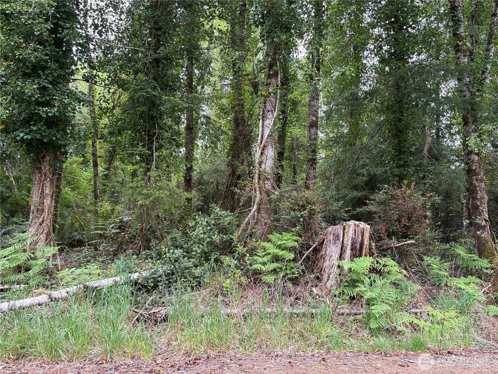 Photo of 285 XX Z Street, Ocean Park, WA 98640 (MLS # 2519239)