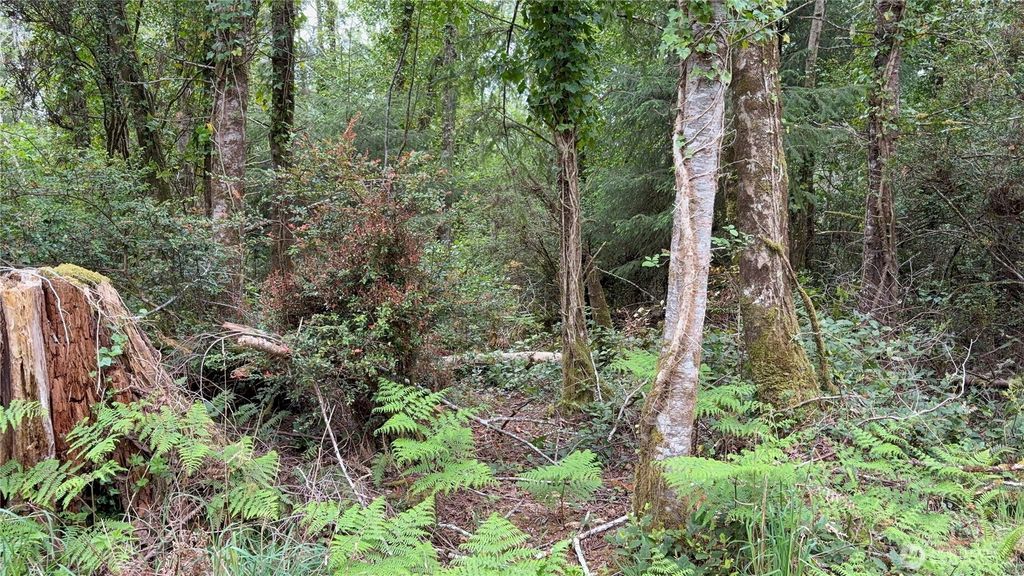 Photo of 285 XX Z Street, Ocean Park, WA 98640 (MLS # 2519239)