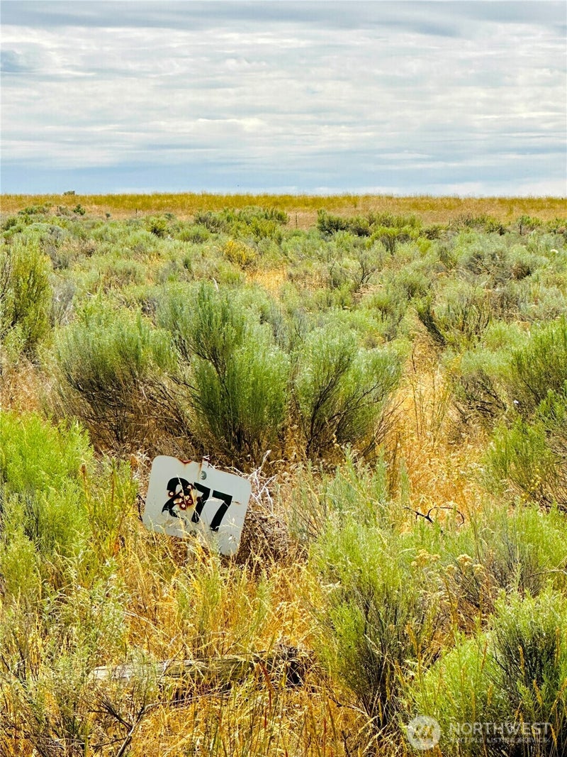 98860 NE Road 21.2