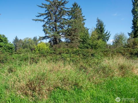 Photo of 300 W Baldwin St, Aberdeen, WA 98520 (MLS # 2433673)