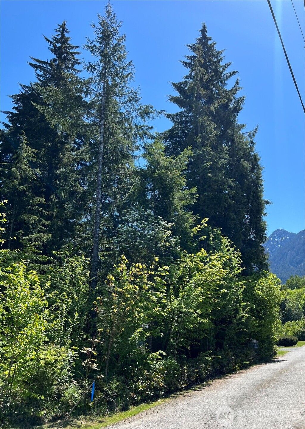 Photo of 6 Stillaguamish Ln, Darrington, WA 98241 (MLS # 2365291)