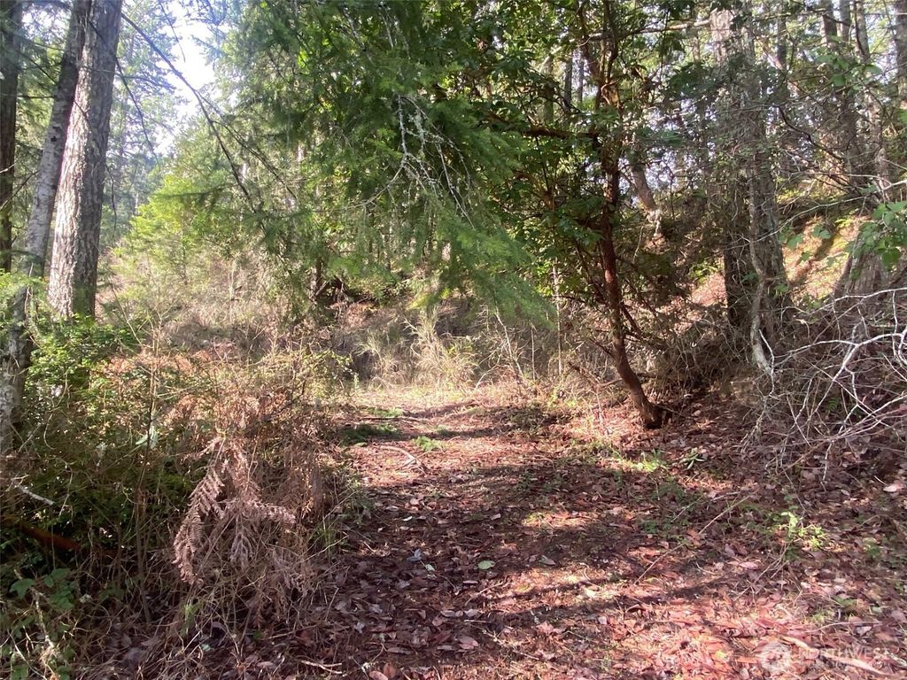 Photo of 5 NE Gladwin Road, Belfair, WA 98528 (MLS # 2508170)