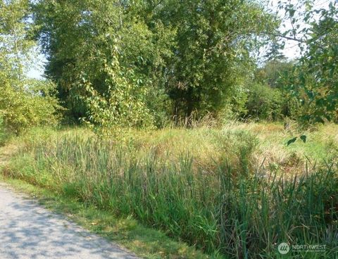 Photo of 0 N 20th Street, Mount Vernon, WA 98273 (MLS # 2437204)