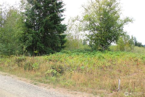 22 Western Lane Oakville WA 98568