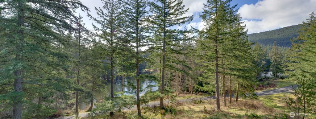 Photo of 61 Sunrise Bluff Ln, Orcas Island, WA 98279 (MLS # 2495906)