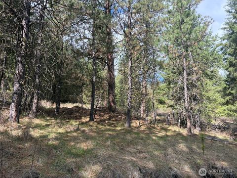 Photo of 111 TBD E West Curlew Lake Road, Republic, WA 99166 (MLS # 2508713)