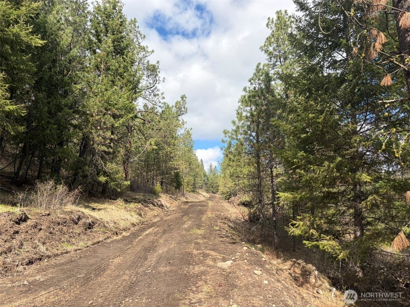 111 West Curlew Lake Road