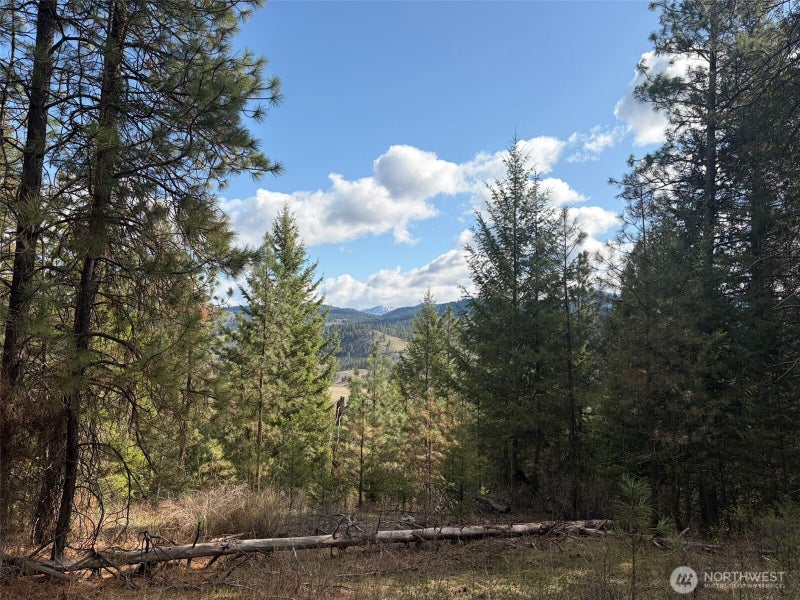 111 West Curlew Lake Road