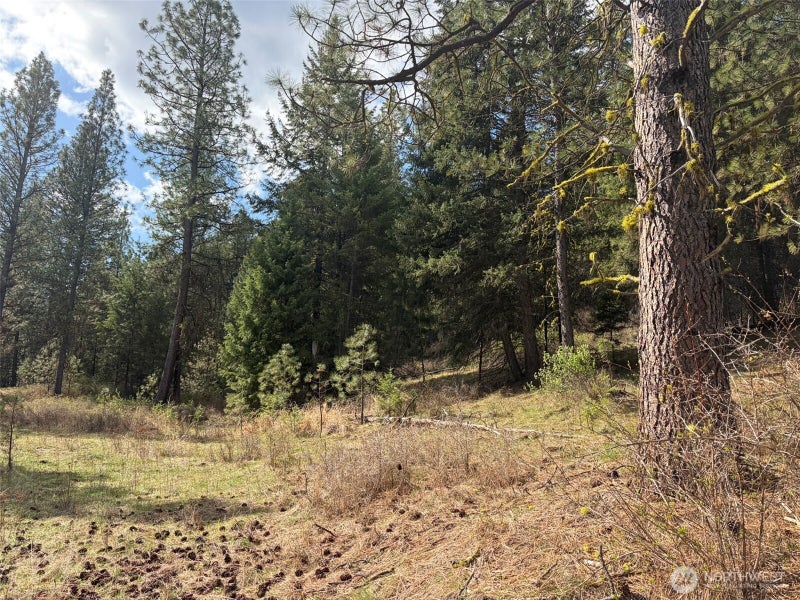 111 West Curlew Lake Road