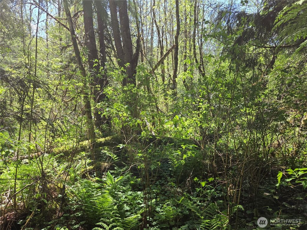 Photo of 0 Falls Road, Randle, WA 98377 (MLS # 2517194)
