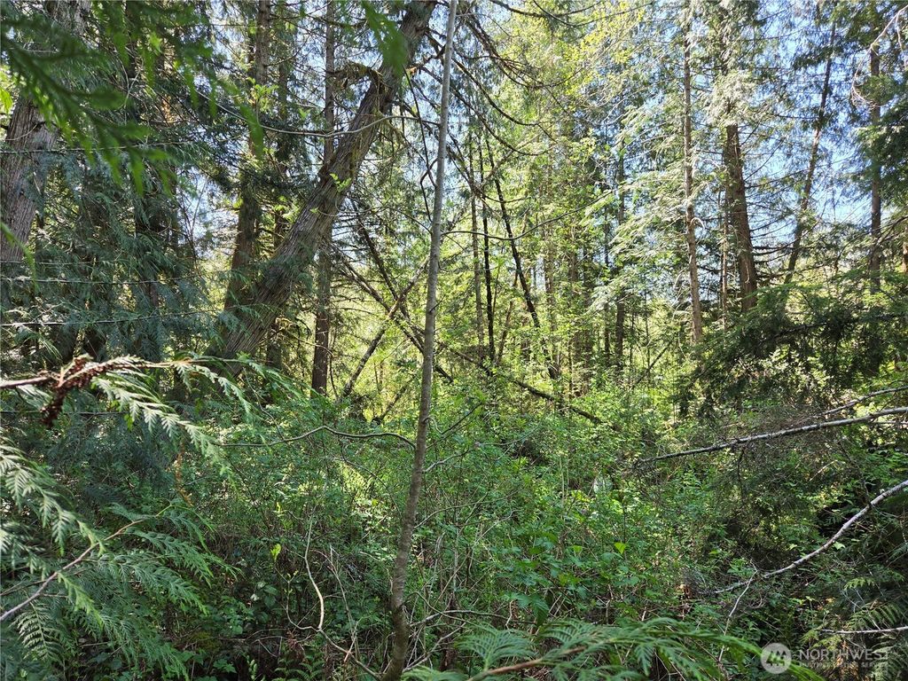 Photo of 0 Falls Road, Randle, WA 98377 (MLS # 2517194)