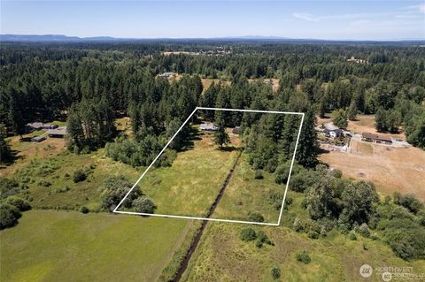Photo of 33913 4th Avenue E, Roy, WA 98580 (MLS # 2555182)