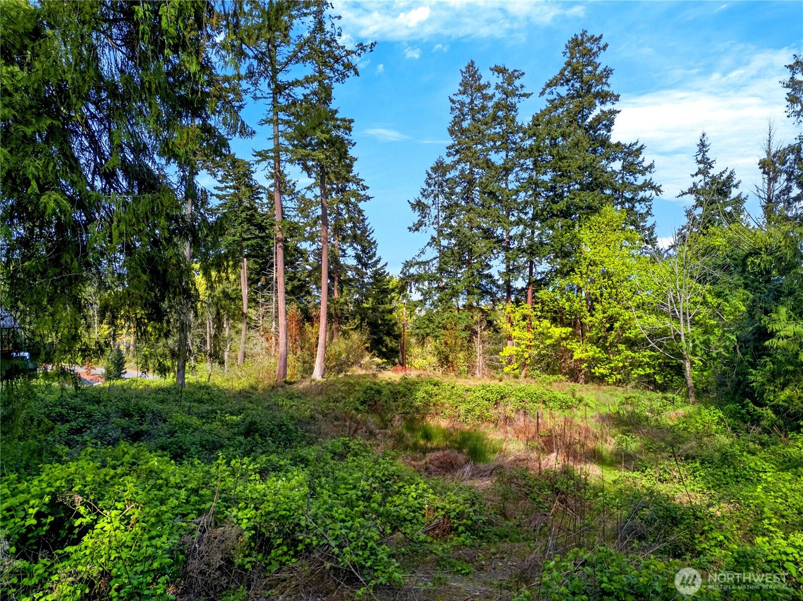 11927 Madrona Ridge Place