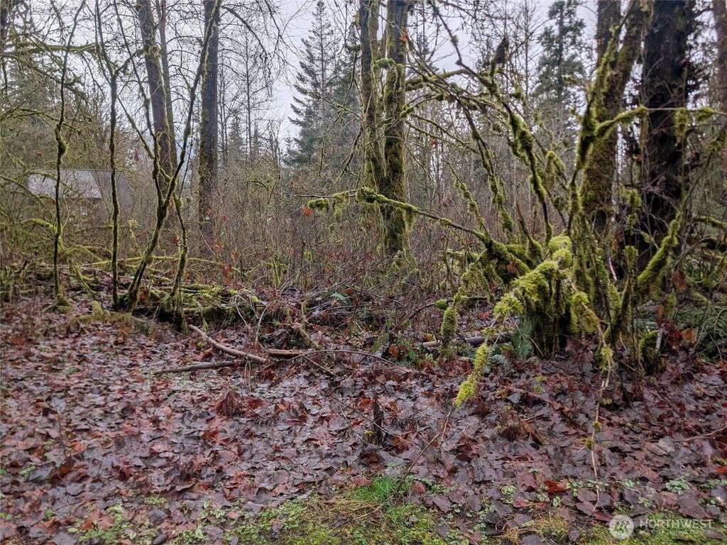 Photo of 16006 Shuksan Rim Drive, Glacier, WA 98244 (MLS # 2468765)