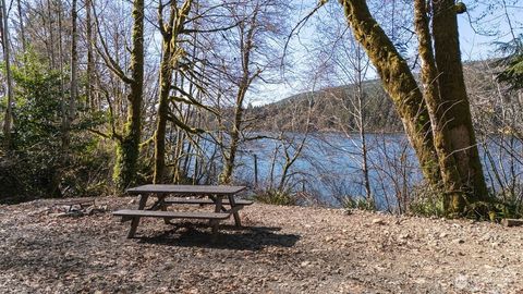 Photo of 1185 E Lake Pleasant Road, Beaver, WA 98305 (MLS # 2488317)