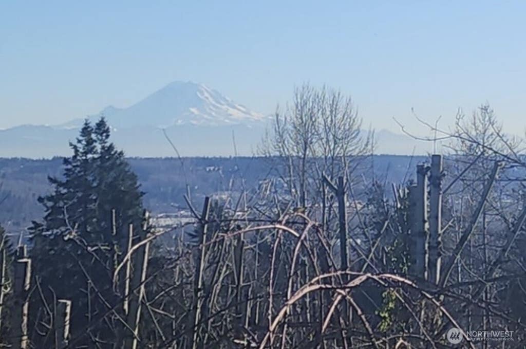 Photo of 71 xx S 130th Street, Seattle, WA 98178 (MLS # 2570782)