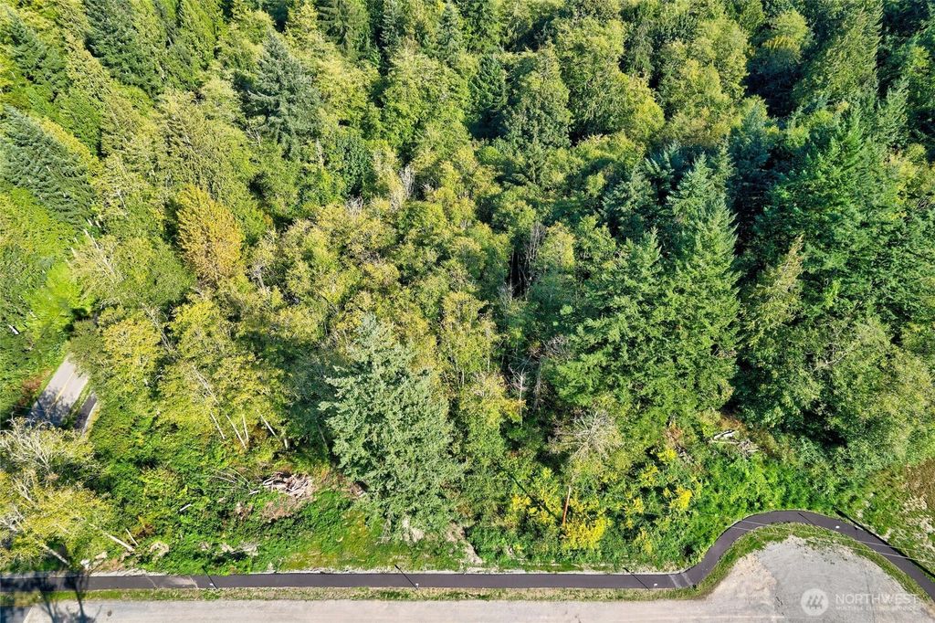 Photo of 924 288th Street NW, Arlington, WA 98223 (MLS # 2444072)