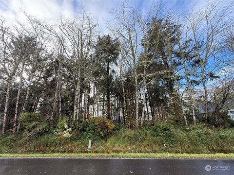 399 NE Duck Lake Drive Ocean Shores WA 98569