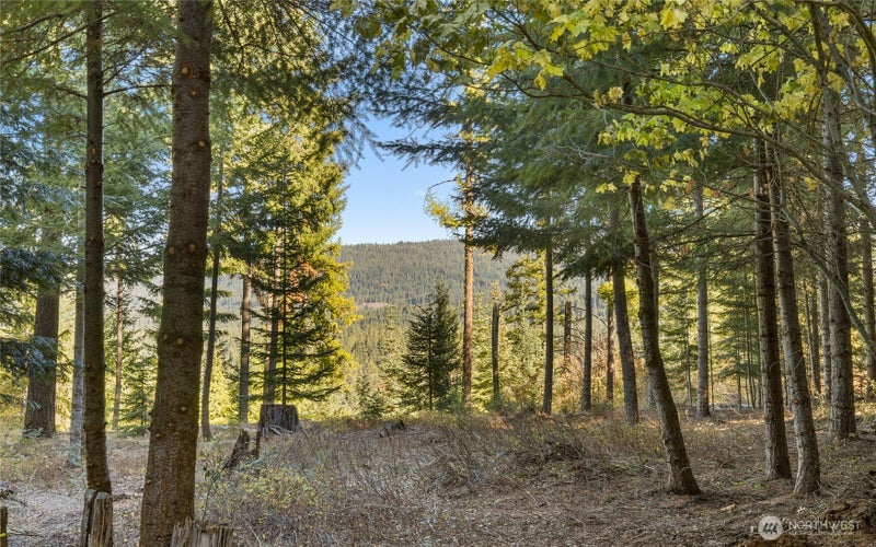 430 Iron Monarch Loop