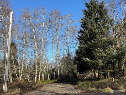Photo of 1805 324th Place, Ocean Park, WA 98640 (MLS # 2329884)