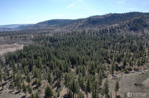 Photo of 0 NHN Washington Creek Road, Chelan, WA 98816 (MLS # 2385610)