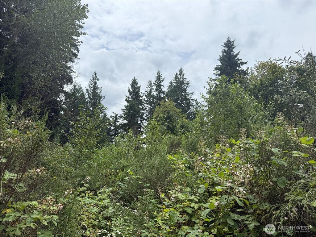 Photo of 3219 Auburn Way S, Auburn, WA 98092 (MLS # 2492607)