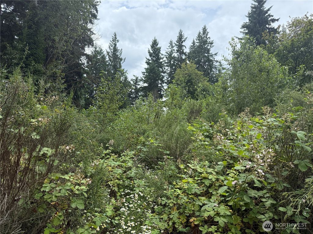 Photo of 3219 Auburn Way S, Auburn, WA 98092 (MLS # 2492607)