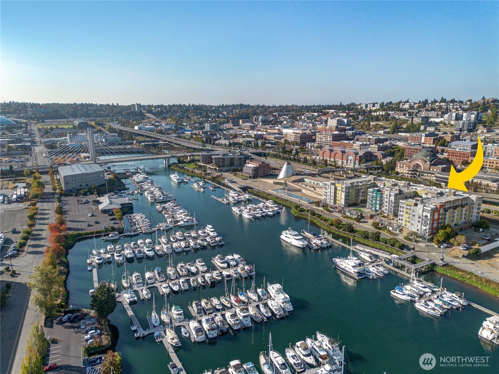 1705 Dock Street 531