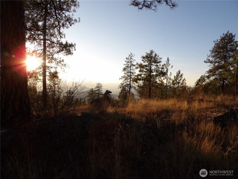 0 TBD Bear Camp Road