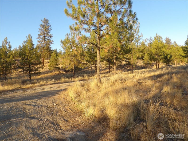 0 TBD Bear Camp Road