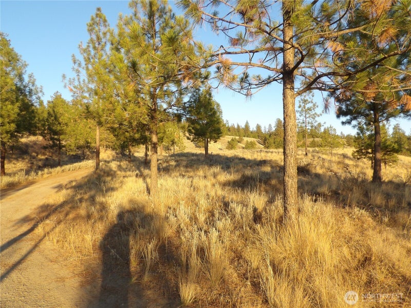 0 TBD Bear Camp Road