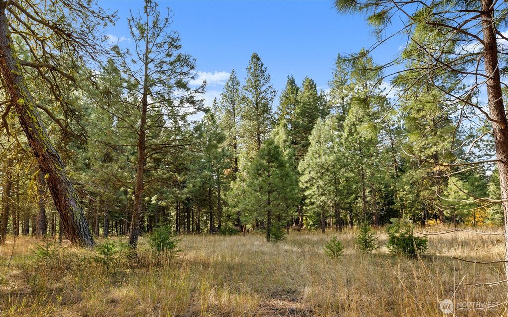Photo of 15 Lot Old Grove Trail, Cle Elum, WA 98922 (MLS # 2506161)