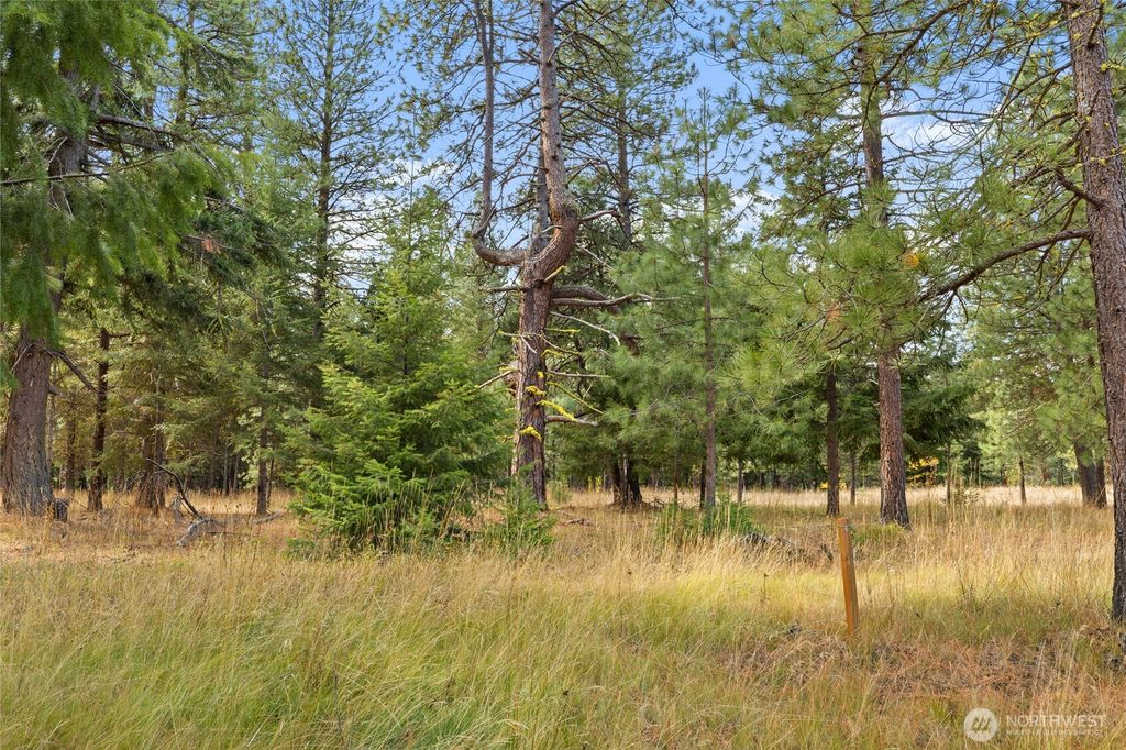 Photo of 15 Lot Old Grove Trail, Cle Elum, WA 98922 (MLS # 2506161)