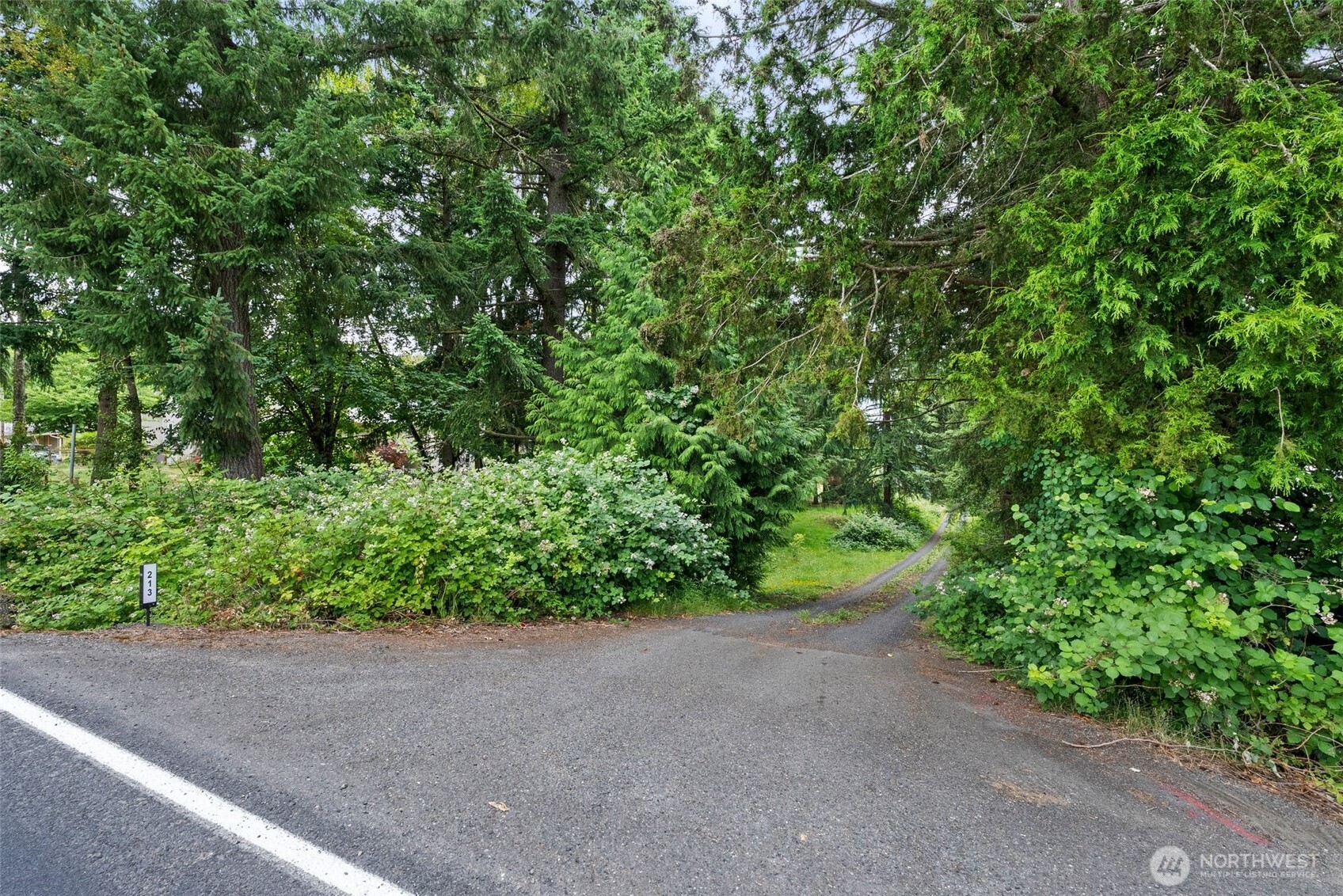 213 Sommerville Road